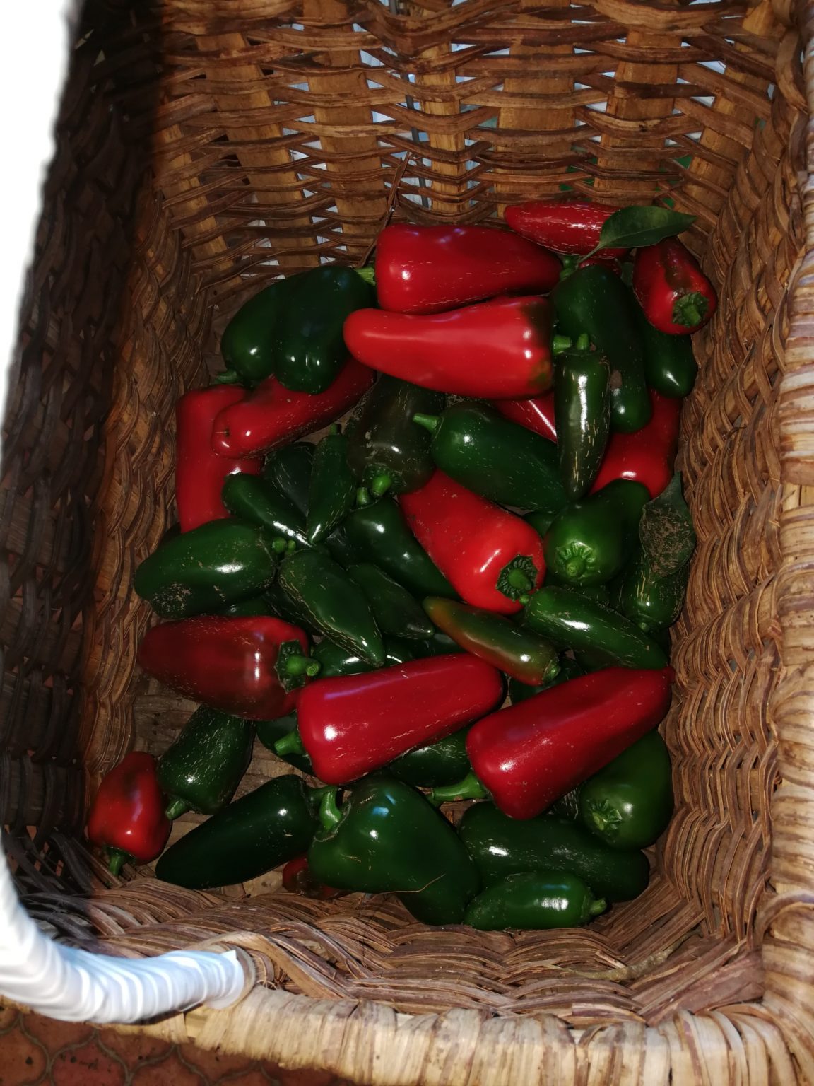 Preserving Jalapeno Peppers — SA Smallholder