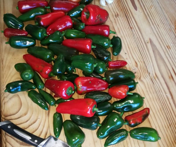 Preserving Jalapeno Peppers