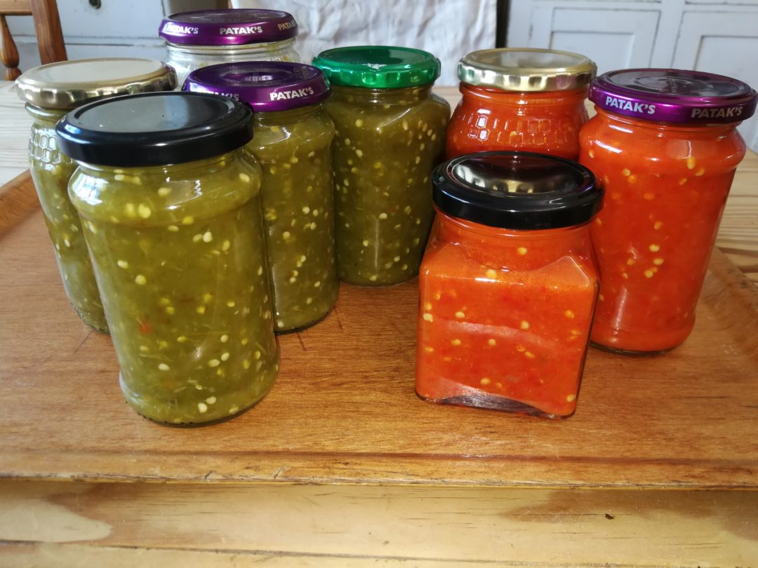 Preserving Jalapeno Peppers — SA Smallholder