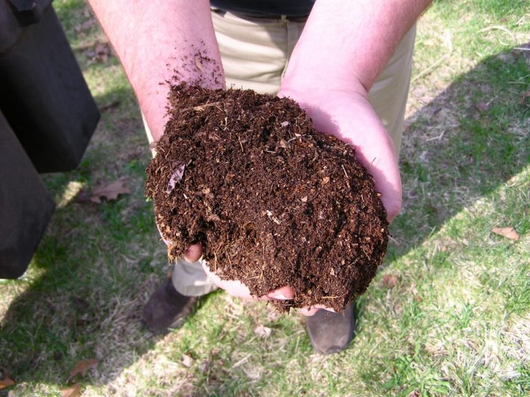 Fix your Compost Heap Problems — SA Smallholder