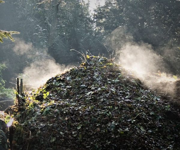 Fix your Compost Heap Problems