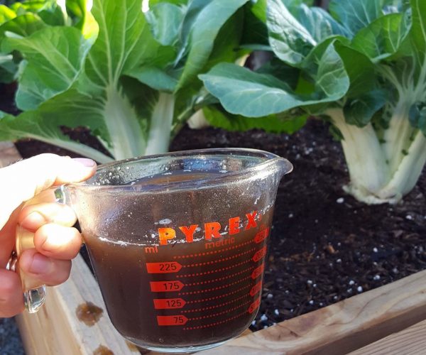 Make your own Compost Tea