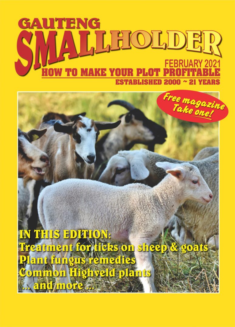 smallholder magazine