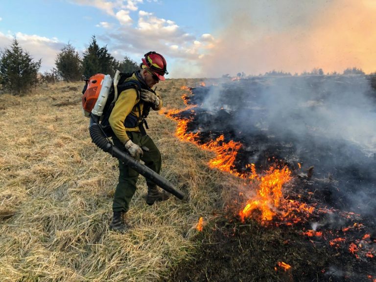 Choosing Your Firefighting Equipment — SA Smallholder