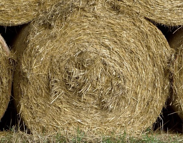 How to Store Hay Bales