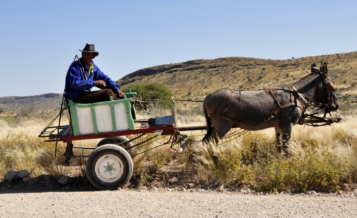 Animal Traction for the Smallholder