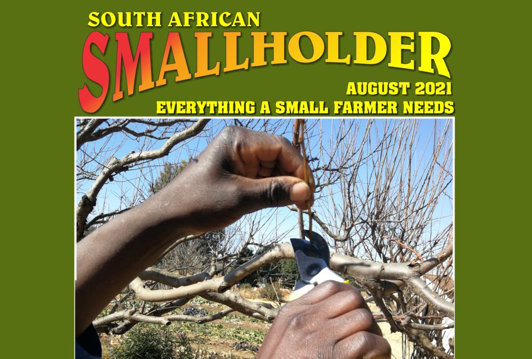 Latest SA Smallholder Magazine Now Out