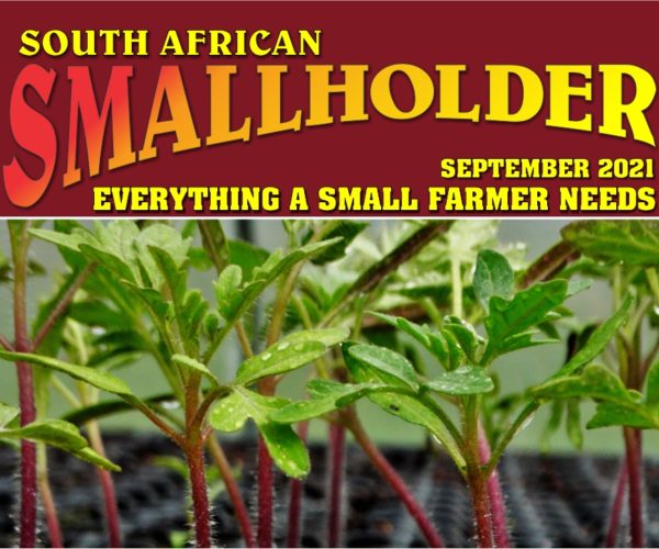 Latest SA Smallholder Digital Magazine Out Now