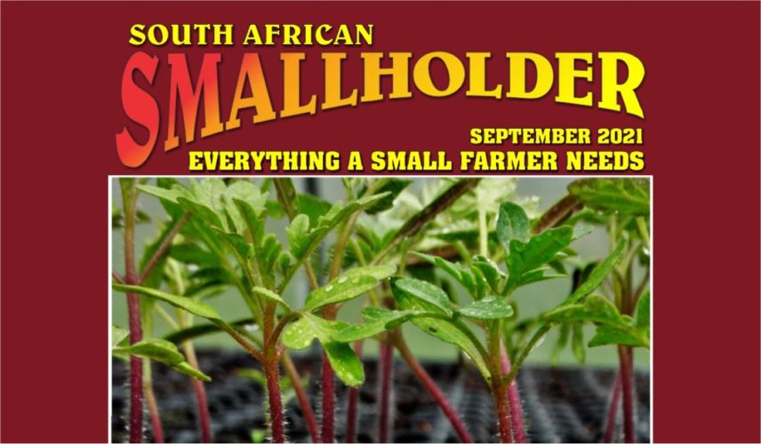 Latest SA Smallholder Digital Magazine Out Now