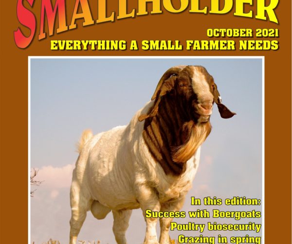 Latest SA Smallholder Digital Magazine Now Ready For Download