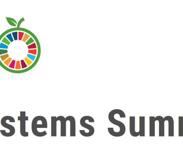 UN Food Systems Summit ‘hogwash’