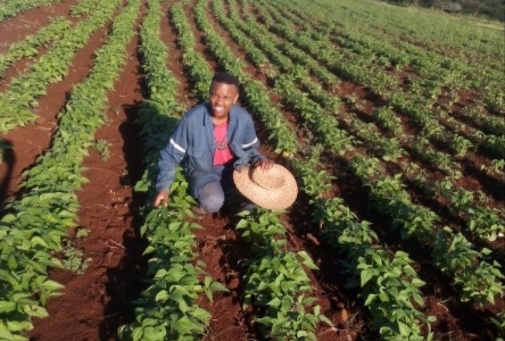South African Co-Op Fights For Food Security