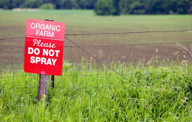 Organic Control of Pests, Disease and Weeds