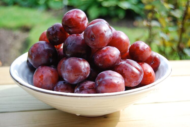 How To Preserve Plums