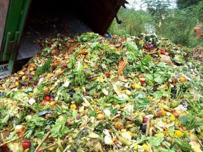 Food Waste And Crop Residue For Animal Feed SA Smallholder