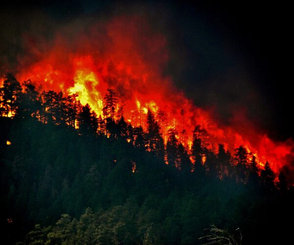 Devastating Wildfires: We Have a Plan
