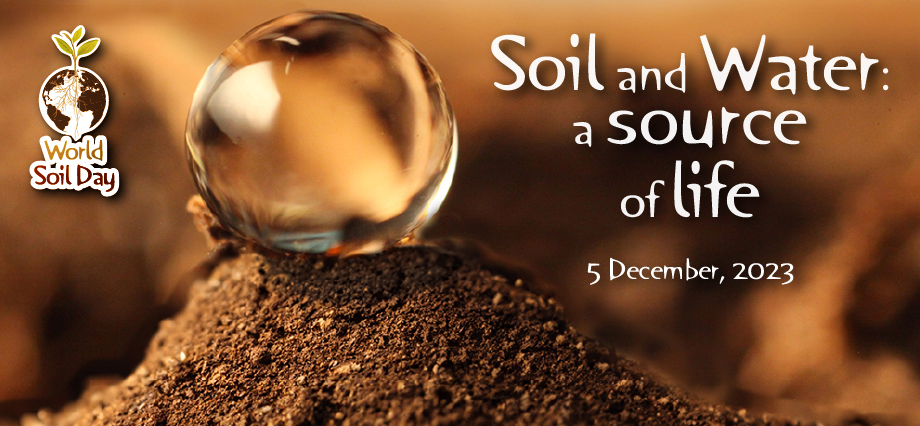 World Soil Day 2023