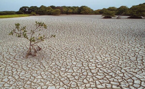 2023: The driest early summer in a decade (or more…)